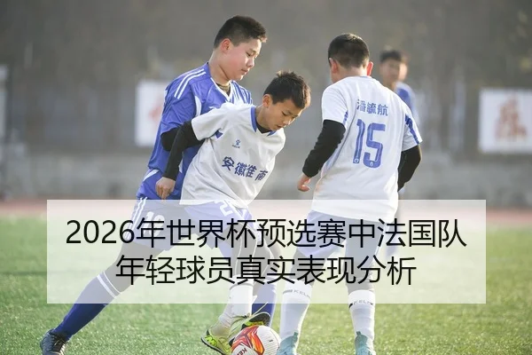 2026年世界杯预选赛中法国队年轻球员真实表现分析