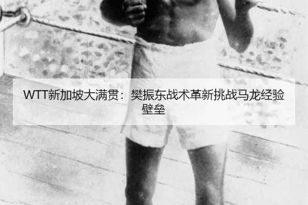 xin-jia-po-da-man-guan-fan-zhen-dong-zhan-shu-ge-xin-tiao-zhan-ma-long-jing-yan-bi-lei-2-737.jpg