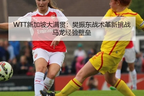 xin-jia-po-da-man-guan-fan-zhen-dong-zhan-shu-ge-xin-tiao-zhan-ma-long-jing-yan-bi-lei-3-493.jpg