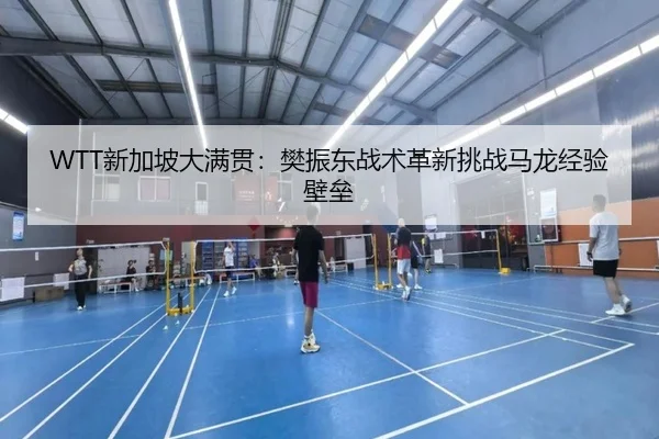 WTT新加坡大满贯：樊振东战术革新挑战马龙经验壁垒
