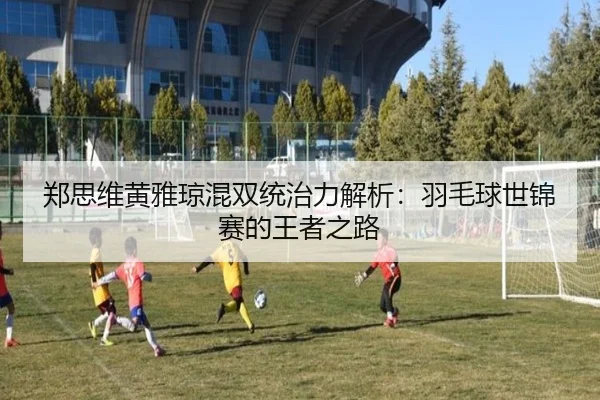 zheng-si-wei-huang-ya-qiong-hun-shuang-tong-zhi-li-jie-xi-yu-mao-qiu-shi-jin-sai-de-wang-zhe-zhi-lu-2-275.jpg