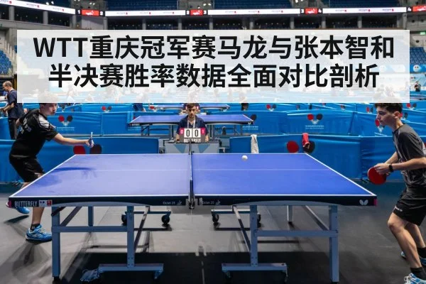 WTT重庆冠军赛马龙与张本智和半决赛胜率数据全面对比剖析
