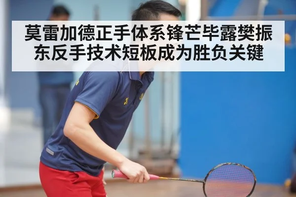 莫雷加德正手体系锋芒毕露樊振东反手技术短板成为胜负关键